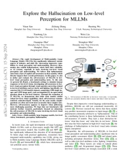 Explore the Hallucination on Low-level Perception for MLLMs