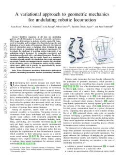 A variational approach to geometric mechanics for undulating robotic
  locomotion