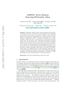 AMEGO: Active Memory from long EGOcentric videos