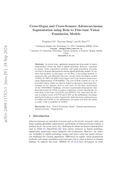 Cross-Organ and Cross-Scanner Adenocarcinoma Segmentation using Rein to
  Fine-tune Vision Foundation Models
