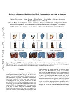 LEMON: Localized Editing with Mesh Optimization and Neural Shaders