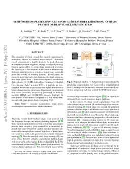 Semi-overcomplete convolutional auto-encoder embedding as shape priors
  for deep vessel segmentation