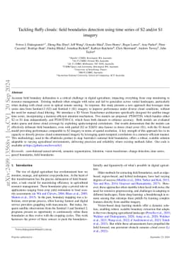 Tackling fluffy clouds: field boundaries detection using time series of
  S2 and/or S1 imagery