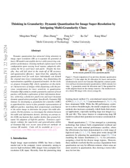 Thinking in Granularity: Dynamic Quantization for Image Super-Resolution
  by Intriguing Multi-Granularity Clues