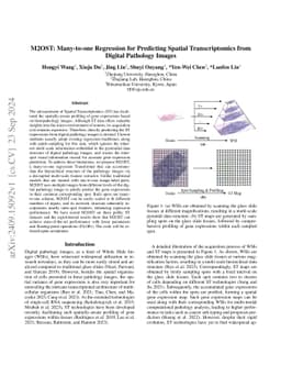 M2OST: Many-to-one Regression for Predicting Spatial Transcriptomics
  from Digital Pathology Images