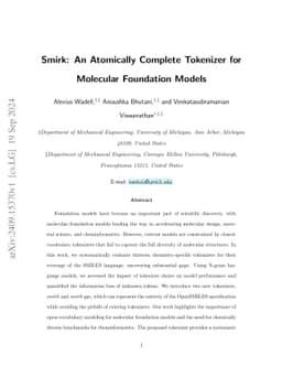 Smirk: An Atomically Complete Tokenizer for Molecular Foundation Models