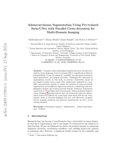 Adenocarcinoma Segmentation Using Pre-trained Swin-UNet with Parallel
  Cross-Attention for Multi-Domain Imaging