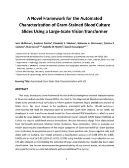 A Novel Framework for the Automated Characterization of Gram-Stained
  Blood Culture Slides Using a Large-Scale Vision Transformer