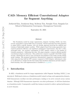 CAD: Memory Efficient Convolutional Adapter for Segment Anything