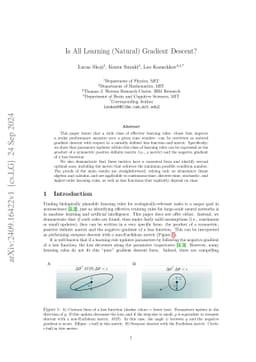 Is All Learning (Natural) Gradient Descent?