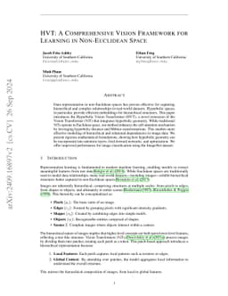HVT: A Comprehensive Vision Framework for Learning in Non-Euclidean
  Space