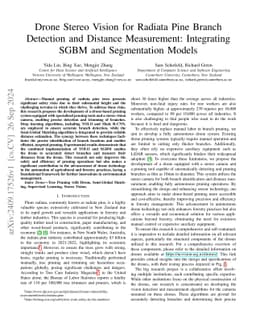 Drone Stereo Vision for Radiata Pine Branch Detection and Distance
  Measurement: Integrating SGBM and Segmentation Models