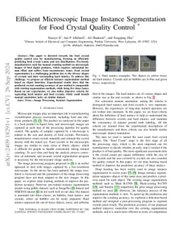 Efficient Microscopic Image Instance Segmentation for Food Crystal
  Quality Control
