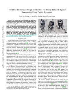The Duke Humanoid: Design and Control For Energy Efficient Bipedal Locomotion Using Passive Dynamics