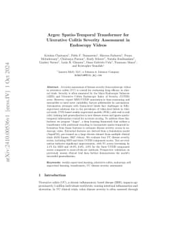 Arges: Spatio-Temporal Transformer for Ulcerative Colitis Severity
  Assessment in Endoscopy Videos