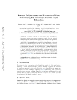 Towards Full-parameter and Parameter-efficient Self-learning For
  Endoscopic Camera Depth Estimation