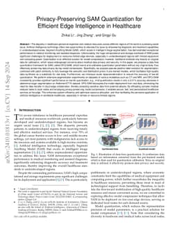 Privacy-Preserving SAM Quantization for Efficient Edge Intelligence in
  Healthcare