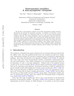 Instrumental variables: A non-asymptotic viewpoint