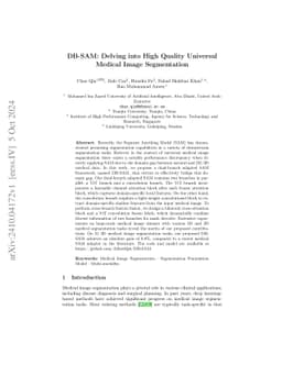 DB-SAM: Delving into High Quality Universal Medical Image Segmentation