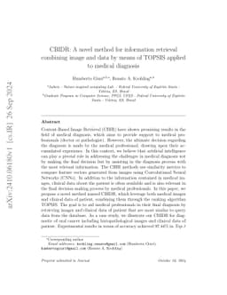 CBIDR: A novel method for information retrieval combining image and data
  by means of TOPSIS applied to medical diagnosis