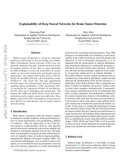 Explainability of Deep Neural Networks for Brain Tumor Detection