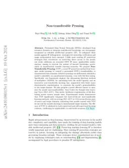 Non-transferable Pruning