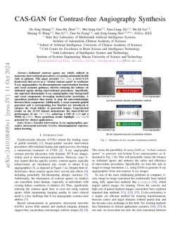 CAS-GAN for Contrast-free Angiography Synthesis