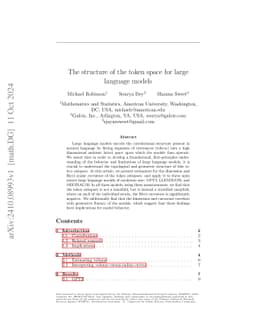 The structure of the token space for large language models