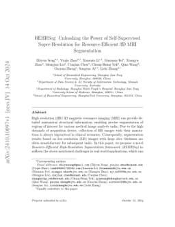 REHRSeg: Unleashing the Power of Self-Supervised Super-Resolution for
  Resource-Efficient 3D MRI Segmentation