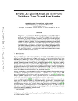 Towards LLM-guided Efficient and Interpretable Multi-linear Tensor
  Network Rank Selection