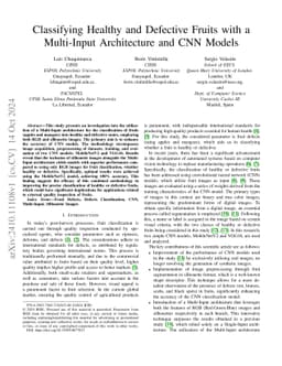 Classifying Healthy and Defective Fruits with a Multi-Input Architecture
  and CNN Models