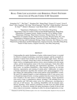 Real-Time Localization and Bimodal Point Pattern Analysis of Palms Using
  UAV Imagery