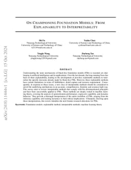 A Theoretical Survey on Foundation Models
