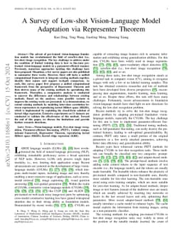 A Survey of Low-shot Vision-Language Model Adaptation via Representer
  Theorem
