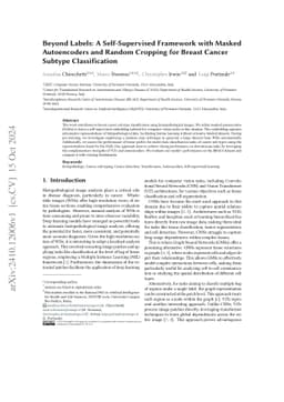 Beyond Labels: A Self-Supervised Framework with Masked Autoencoders and
  Random Cropping for Breast Cancer Subtype Classification