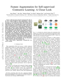 Feature Augmentation for Self-supervised Contrastive Learning: A Closer
  Look