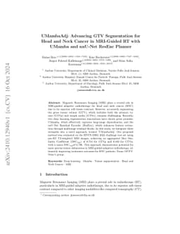 UMambaAdj: Advancing GTV Segmentation for Head and Neck Cancer in
  MRI-Guided RT with UMamba and nnU-Net ResEnc Planner