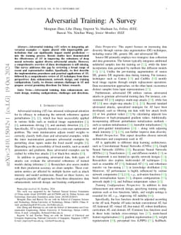 Adversarial Training: A Survey
