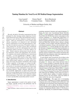 Taming Mambas for Voxel Level 3D Medical Image Segmentation