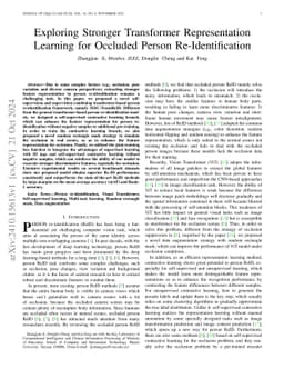 Exploring Stronger Transformer Representation Learning for Occluded
  Person Re-Identification