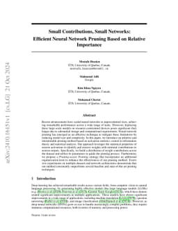 Small Contributions, Small Networks: Efficient Neural Network Pruning
  Based on Relative Importance