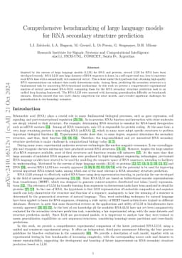 Comprehensive benchmarking of large language models for RNA secondary structure prediction