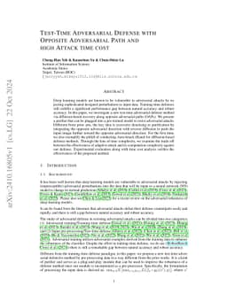 Test-time Adversarial Defense with Opposite Adversarial Path and High
  Attack Time Cost