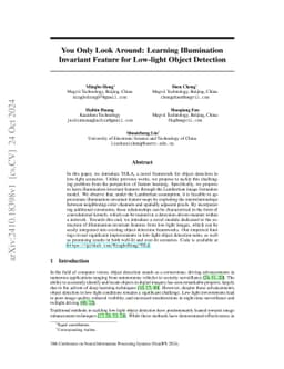 You Only Look Around: Learning Illumination Invariant Feature for
  Low-light Object Detection