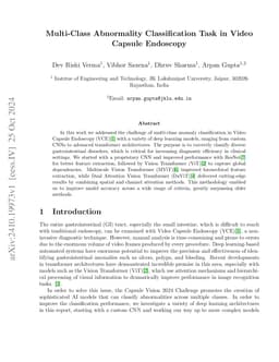 Multi-Class Abnormality Classification Task in Video Capsule Endoscopy