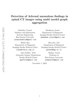 Detection of adrenal anomalous findings in spinal CT images using multi model graph aggregation