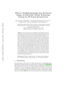 DINeuro: Distilling Knowledge from 2D Natural Images via Deformable Tubular Transferring Strategy for 3D Neuron Reconstruction