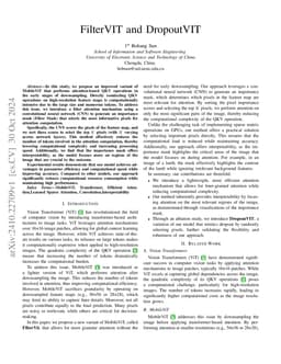FilterViT and DropoutViT
