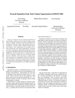 Towards Population Scale Testis Volume Segmentation in DIXON MRI
