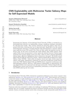 CNN Explainability with Multivector Tucker Saliency Maps for
  Self-Supervised Models